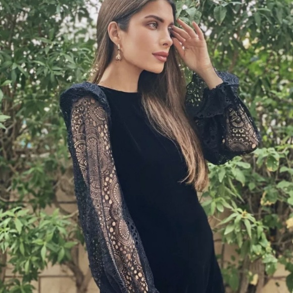 H&M The Vampire’s Wife lace neo gothic dress NWT - Picture 5 of 10